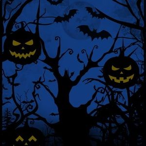 Meet your Posher, Dan